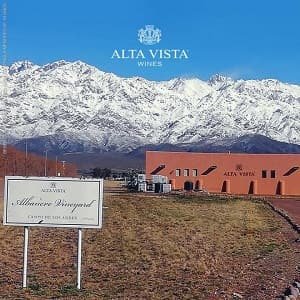 Alta Vista