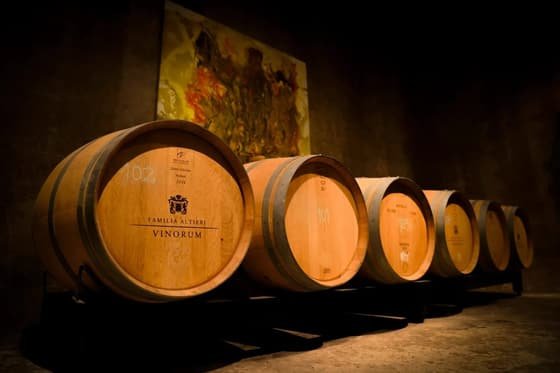Altieri Wines - Vinorum