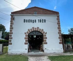Bodega 1920