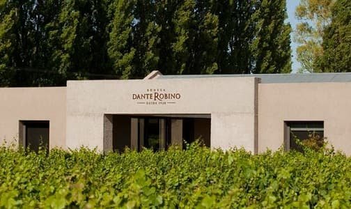 Bodega Dante Robino