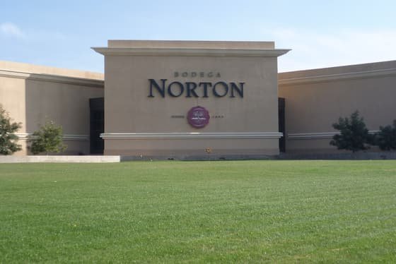 Bodega Norton