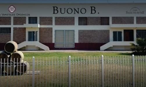 BuonoB