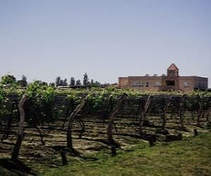 Chaglasian Wine & Suites