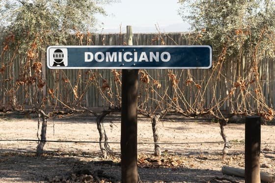Domiciano