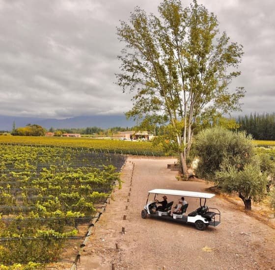 Finca Bandini