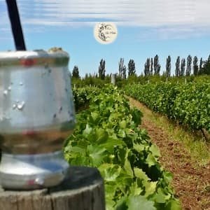Finca la Pabla