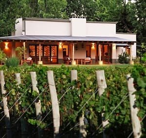 FOW Fabricio Orlando Winemaker