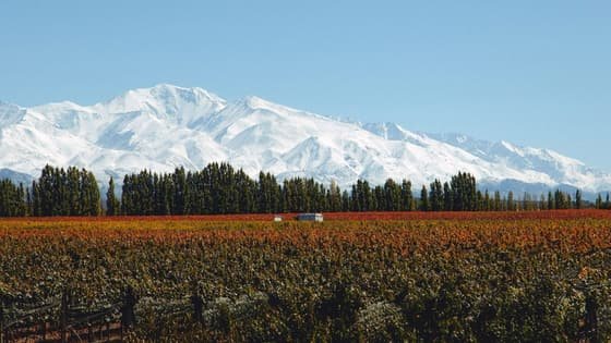 Huarpe Riglos Family Wines