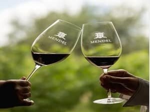 Mendel Wines
